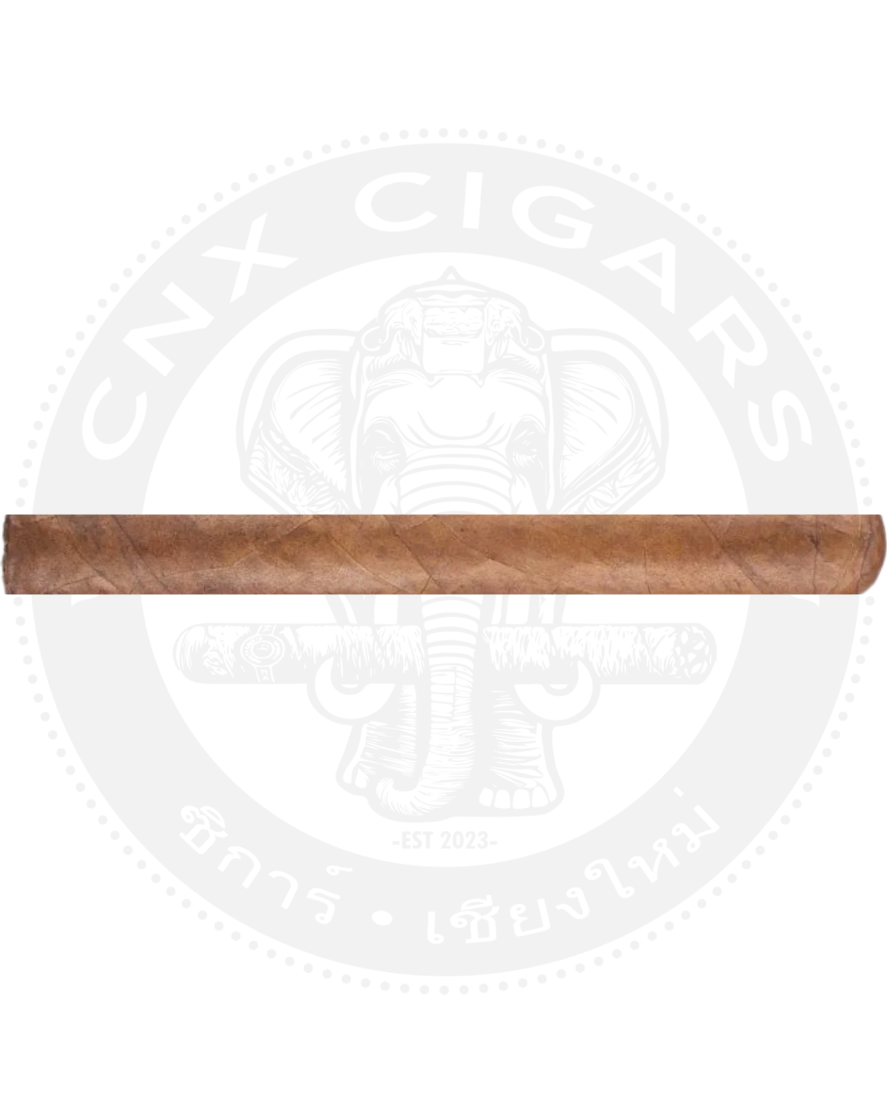 Cusano Honduras Churchill